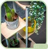 A multi-tiered plant stand with various potted plants on its shelves. Anteprima dell’immagine prodotto