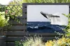 Gartenposter - 120x80 cm - Wal springt im blauen Wasser Produktbild-Vorschau 6