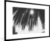MuchoWow® Gerahmtes Poster Palmenblätter - Tropisch - Sonne Produktbild-Vorschau 1