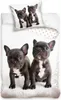 Two French bulldog puppies on a white background, with a pillow and part of a duvet cover also featuring French bulldogs and polka dots. Anteprima dell’immagine prodotto