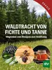 Waldtracht von Fichte und Tanne Produktbild-Vorschau 1