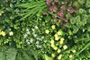 Primaflor Kunstpflanzen Wand AVA 100x100cm Blumenwand Produktbild-Vorschau 3