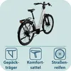 Tretwerk Amber E Bike Donna Bicicletta elettrica da 28 Anteprima dell’immagine prodotto 8