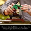 LEGO® Botanicals 10281 : Bonsaï Voir les images du produit 10