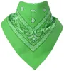 Bandana Paisley Gruen Produktbild-Vorschau 1