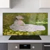 Coloray Küchenrückwand 140x70 Spritzschutz aus Glas - Produktbild-Vorschau 2