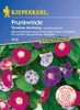 Prunkwinde Tricolore Mix | Windensamen von Kiepenkerl Produktbild-Vorschau 3