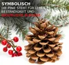 Pinienzapfen Natur 10 Stück | Tannenzapfen Deko 8–12 cm | Produktbild-Vorschau 3
