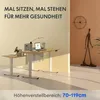 Biurko z regulacją wysokości FLEXISPOT 160 x 80 cm, blat Podgląd zdjęcia produktu 7