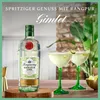 Tanqueray Rangpur Lime, Destillierter Gin, 41,3% vol, 700ml Produktbild-Vorschau 2