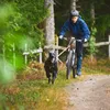 Non-stop dogwear Hundeleine Bungee Leash 2.0, Länge: 2,8 m Produktbild-Vorschau 5