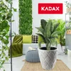 A modern living room with a vertical garden wall, a sofa with cushions and a throw blanket, a knitted pouf, and a large potted plant in a decorative white planter. Náhľad obrázku produktu