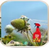 Insektenspray Polysect - 750 ml - gegen Schädlinge - Produktbild-Vorschau 8