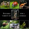 Omgoods- Terrarium uitbraakveilig - Acryl Vogelspinnen-Kooi Productafbeelding-voorbeeld 4