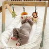 Stojak gimnastyczny Toy Toy Baby Gym z 3 pluszowymi Podgląd zdjęcia produktu 2