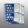 Prophila Collection 6 Stück Euro-Vordruck-Tabletts von 6 Produktbild-Vorschau 1