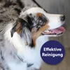 Canosept Zahnpflege Spray für Hunde 100 ml Produktbild-Vorschau 2
