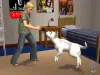 Die Sims 2 - Haustiere (Add-On) Produktbild-Vorschau 15