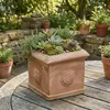 Teramico Bac à plantes « Cubo Rosone » Terre cuite Voir les images du produit 3
