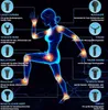 A diagram showing a human figure with highlighted areas and various massage gun attachments with their descriptions. Produktbild-Vorschau