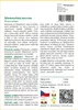 SAFLAX - Středomořská borovice - Pinus pinea - 6 Semena Náhled obrázku produktu 3
