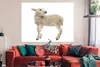 MuchoWow® Poster Schaf - Wolle - Lamm 160x120 cm - Foto Produktbild-Vorschau 2