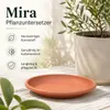 Pflanztopfuntersetzer Mira Terrakotta Ø 49cm - Rund Produktbild-Vorschau 7