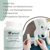 amusi Gelenktabletten Hund - Teufelskralle Hund Supplement, Produktbild-Vorschau 8