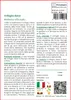 SAFLAX  - Trifoglio dolce - 250 semi - Melilotus Anteprima dell’immagine prodotto 3
