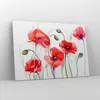 Bild auf Leinwand - Leinwandbild - Blume Mohn Wiese - Produktbild-Vorschau 4