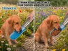 Trinkflasche Hunde für unterwegs Hundetrinkflasche Produktbild-Vorschau 5