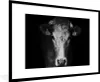 MuchoWow® Gerahmtes Poster Tiere - Kuh - Schwarz - Weiß - Produktbild-Vorschau 1