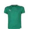 Puma Teamliga Trikot Kurzarm Kinder - Grün / Weiß Produktbild-Vorschau 10