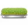 Friendly Fox Microgreens Anzuchtschale aus Edelstahl, 2er Produktbild-Vorschau 7