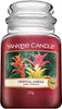 Tropical Jungle - Duftkerze im Glas 623g - Yankee Candle® Produktbild-Vorschau 1
