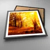 Gerahmtes Poster - Schwarzer Rahmen - Wald Baum Natur - Produktbild-Vorschau 3