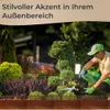 TOPANBIETER 999 Rasenkante "Schnörkel" Beeteinfassung Produktbild-Vorschau 3