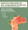 Marketing image with text and salmon pieces. Produktbild-Vorschau