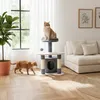 Belviona kattenkraboom, 65 cm, compacte kraboom met hol, Productafbeelding-voorbeeld 1