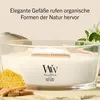 Vonná svíčka loď White Honey 453,6 g Náhled obrázku produktu 6