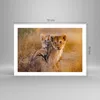 Poster - Poster ohne Rahmen - Löwe Natur Tier - 70x50 cm - Produktbild-Vorschau 4