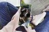 MuchoWow® Handyhülle Schutzhülle Hülle für Samsung Galaxy Produktbild-Vorschau 3