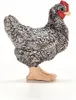 Schleich Plymouth Rock Hen 13997 Figurina per bambini Anteprima dell’immagine prodotto 4