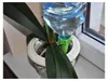 Watergiftapparaat voor bloempotten, model 75620 Productafbeelding-voorbeeld 12