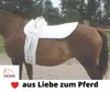 Voltigiergurt Cheval Vollblut mit runden Griffen und 2 Produktbild-Vorschau 6