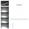 Paulmann LED Pendelleuchte Lesko mit RGBW und Tunable White Produktbild-Vorschau 1