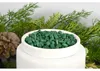 1.09 Scentsicles vonné granule 125g - WHITE WINTER FIR - Náhľad obrázku produktu 9