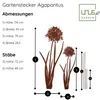 UNUS® Roststecker Agapantus 2er Set Gartendeko Rostoptik Produktbild-Vorschau 6