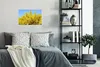 MuchoWow® Poster Blühender Ginster mit blauem Himmel 30x20 Produktbild-Vorschau 4