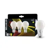 BELLALUX LED Lampe für E27-Sockel, mattes Glas ,Warmweiß Produktbild-Vorschau 3